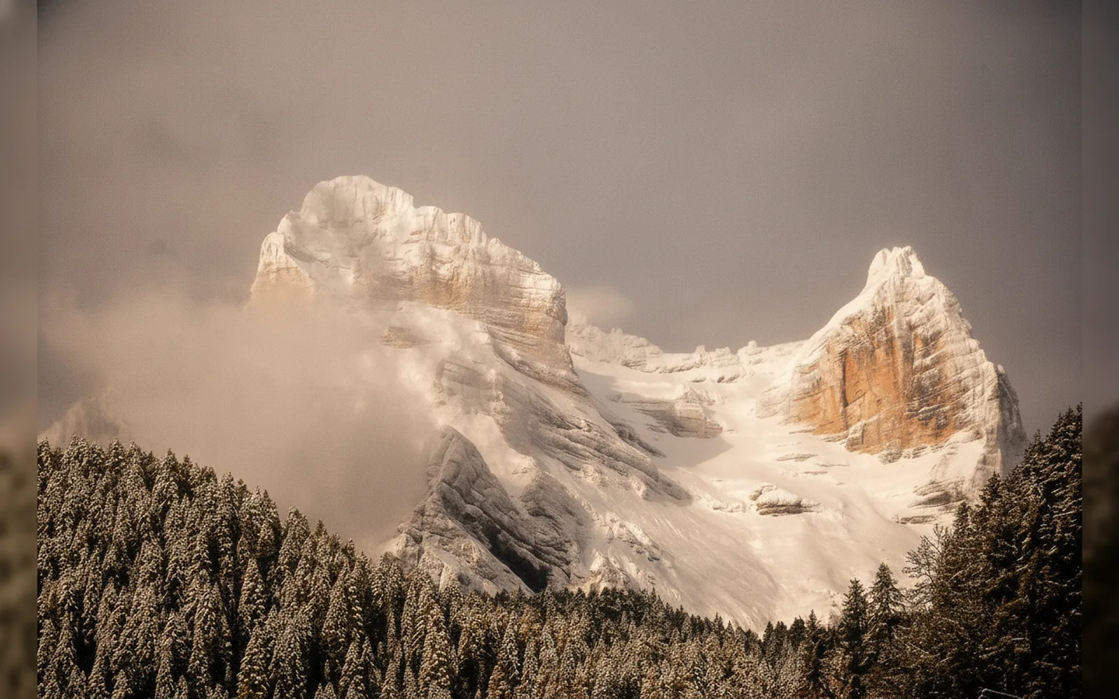 Esterni di Casa Sagui, Zoppè di Cadore (Belluno) (foto 11)