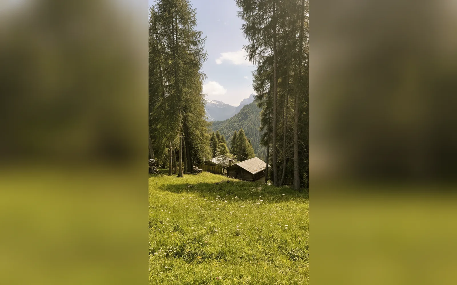 Esterni di Casa Sagui, Zoppè di Cadore (Belluno) (foto 15)