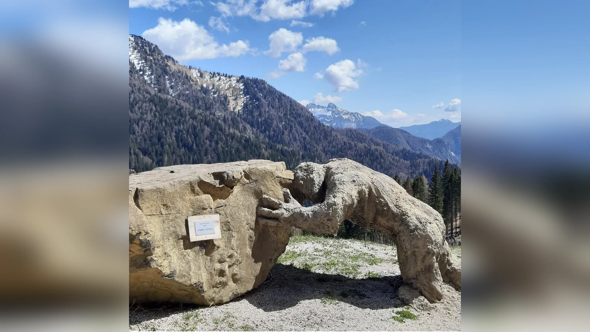 Esterni di Casa Sagui, Zoppè di Cadore (Belluno) (foto 36)