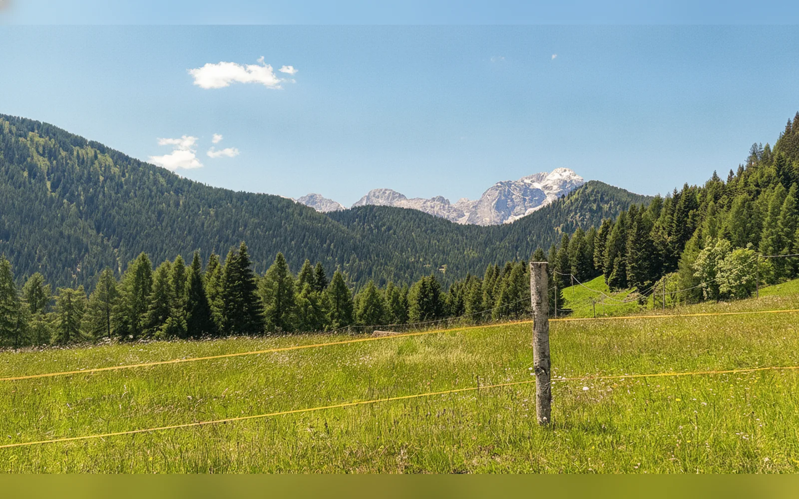 Esterni di Casa Sagui, Zoppè di Cadore (Belluno) (foto 6)